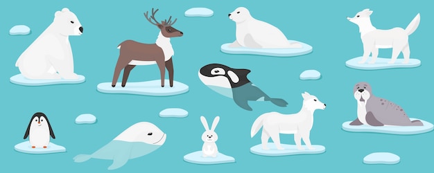 Vecteur animaux marins de l'arctique