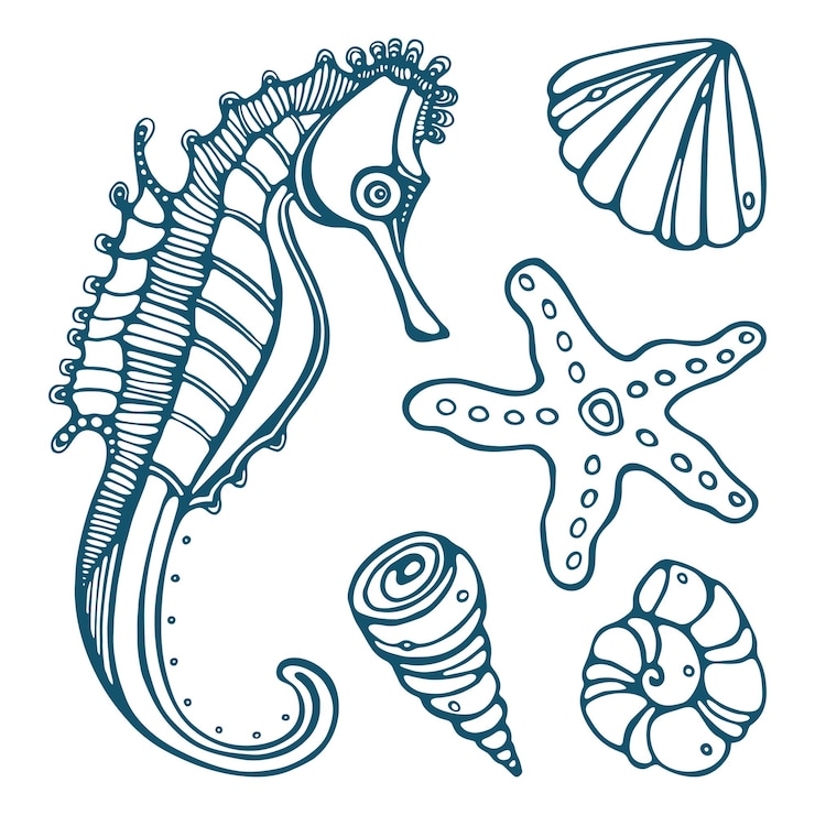 Vecteur animaux marins livre de coloriage hippocampe étoile de mer et coquillages contour doodles vecteur premium