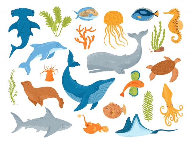 Animaux Marins Et Marins Et Poissons, Ensemble D'illustrations. Créatures Marines Sous-marines Et Mammifères, Baleine, Requin, Dauphin Et Méduse, Tortue, Hippocampe. Animaux Marins D'aquarium.