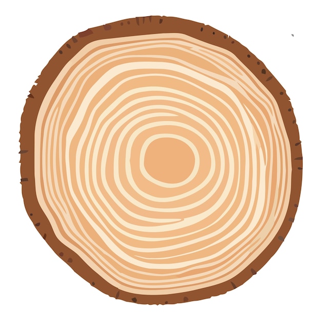 Vecteur anneau de bois de tronc d'arbre section transversale de tronc d'arbre coupe de tranche de bois isolé sur fond blanc