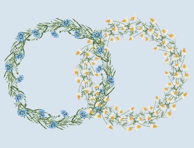 Anneaux floraux décoratifs de bleuets dessinés et de fleurs sauvages de camomille
