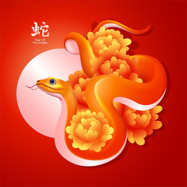 Vecteur année chinoise du serpent 2025 serpent chinois avec une fleur