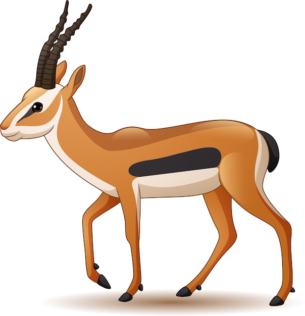 Antilope De Dessin Animé Isolé Sur Fond Blanc