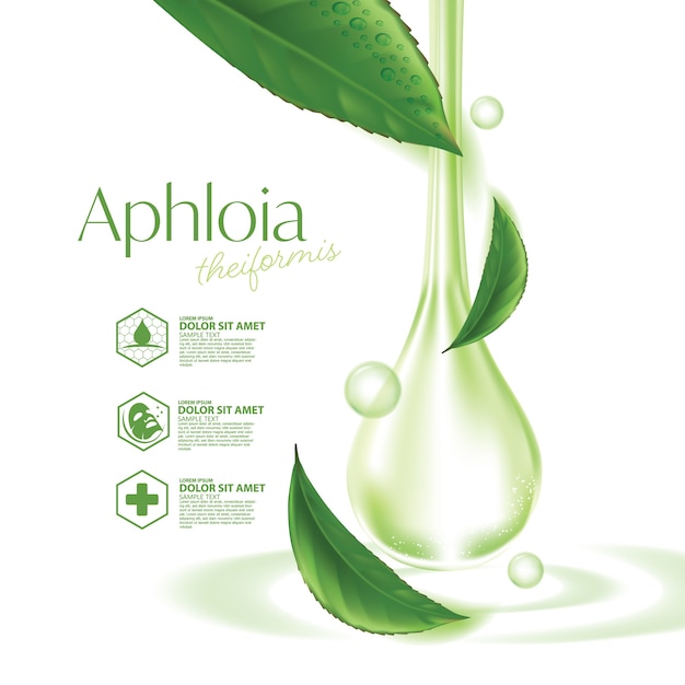 Aphloia Theiformis thé malgache cosmétique naturelle de soins de la peau