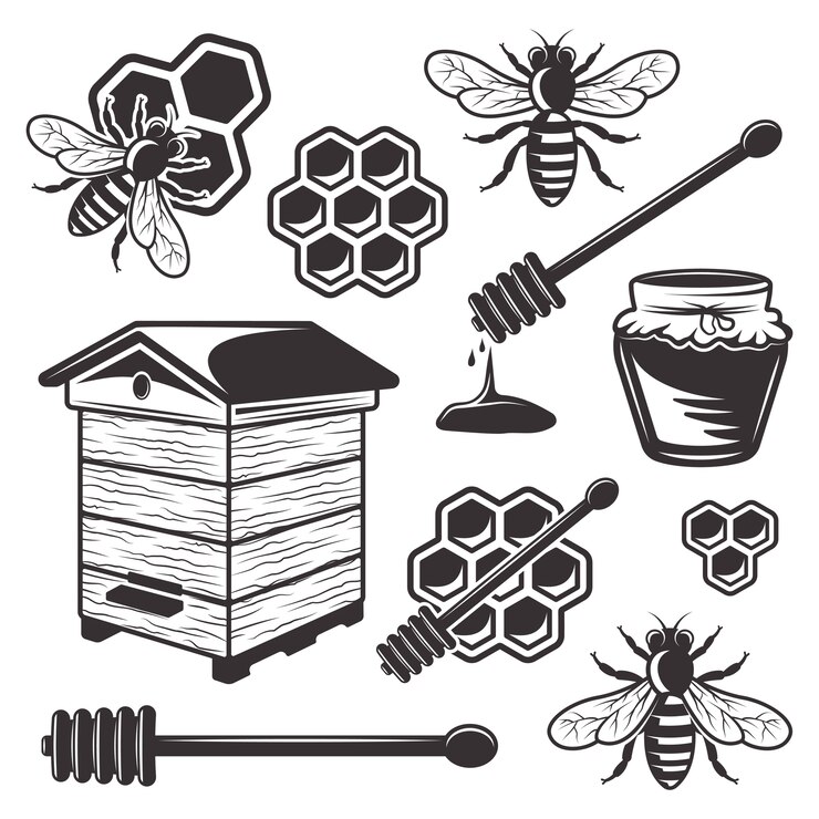 Apiculture et ensemble de miel d'objets noirs et d'éléments sur fond blanc