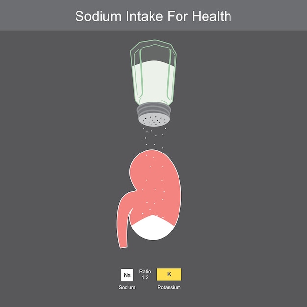 Vecteur apport de sodium pour la santé. une bouteille de sel et une figurine de dessin animé de rein pour expliquer environ le corps d'apport de niveau de sodium approprié.