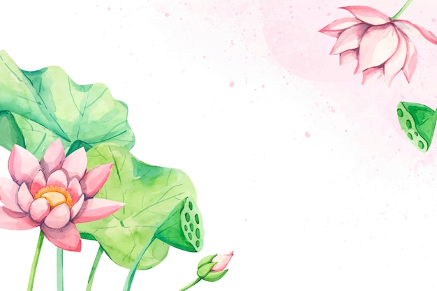 Aquarelle sur un beau fond de lotus