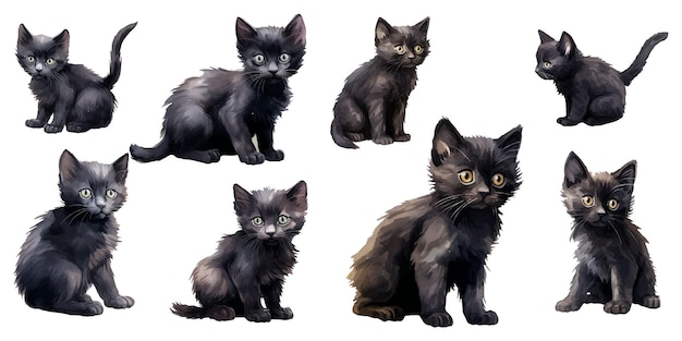 Vecteur aquarelle bébé chat noir clipart