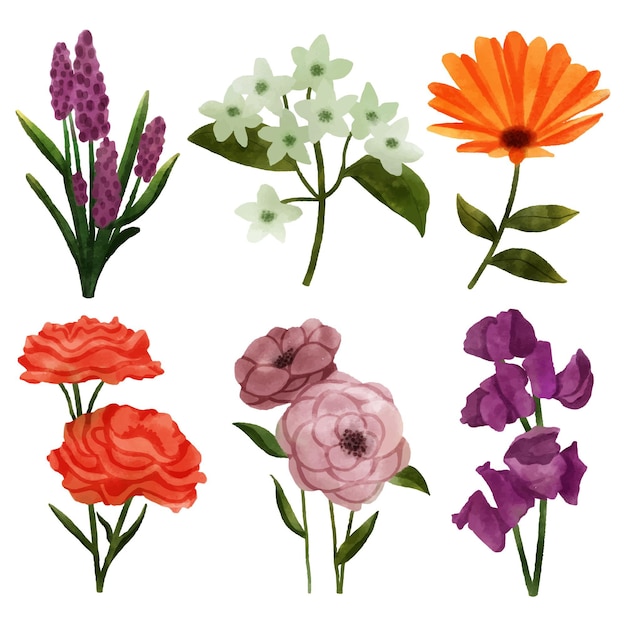 Vecteur aquarelle belle collection de fleurs de printemps