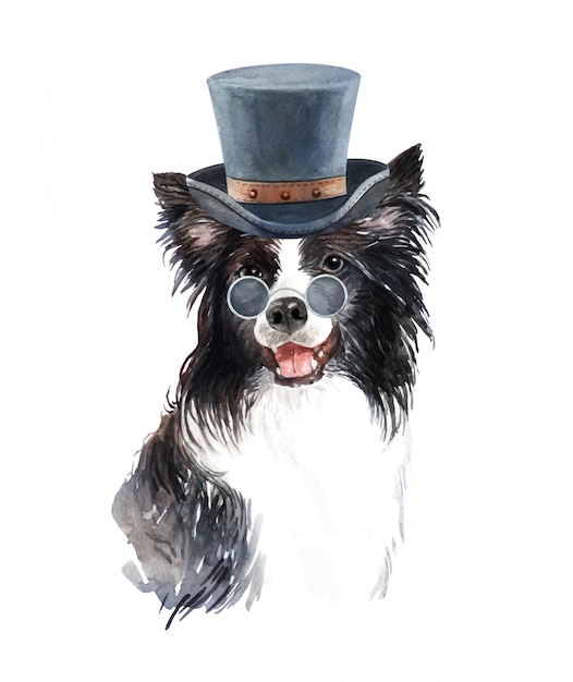 Vecteur aquarelle border collie avec lunettes de soleil et chapeau haut de forme.