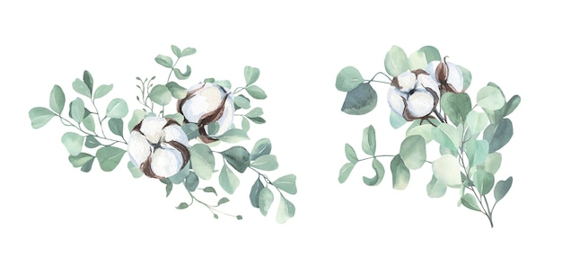 Aquarelle De Boules De Coton Et Bouquet D'eucalyptus