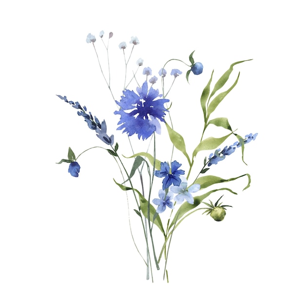 Aquarelle de bouquet de fleurs sauvages bleues 3