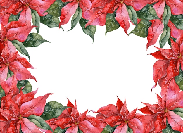 Aquarelle De Cadres Floraux De Noël, Cadres De Noël Avec Poinsettia Et Verdure