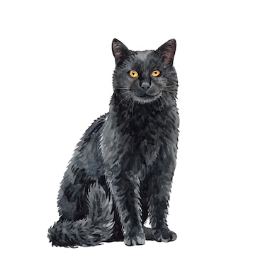 Aquarelle Chat Noir Assis Peinture Chat Aquarelle Vecteur Premium
