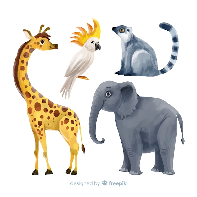 Aquarelle Collection d&#39;animaux tropicaux exotiques