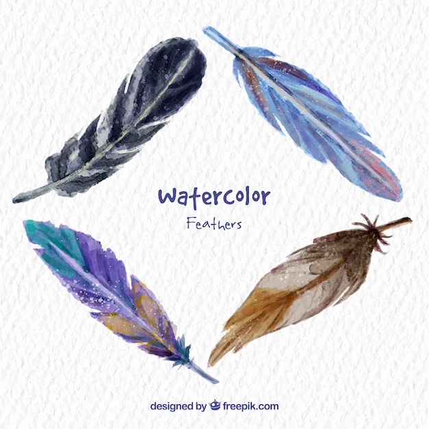 Vecteur aquarelle collection de plumes d'animaux