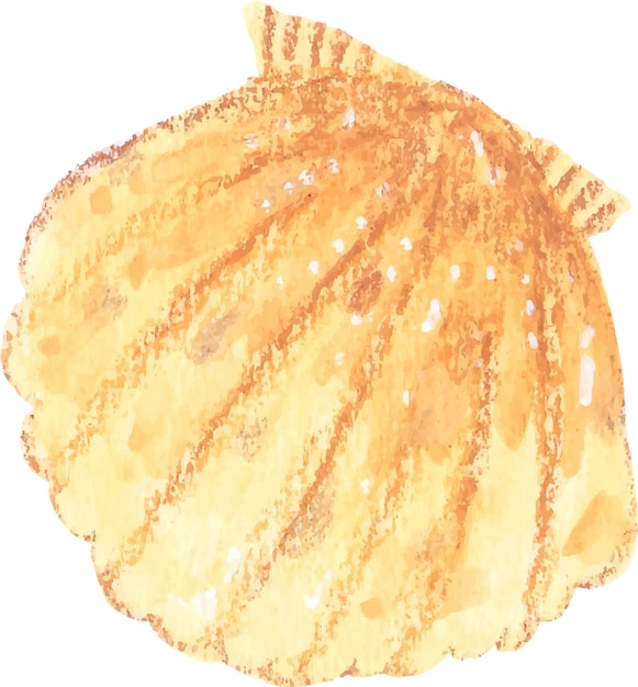 Vecteur aquarelle de coquille de mer en png