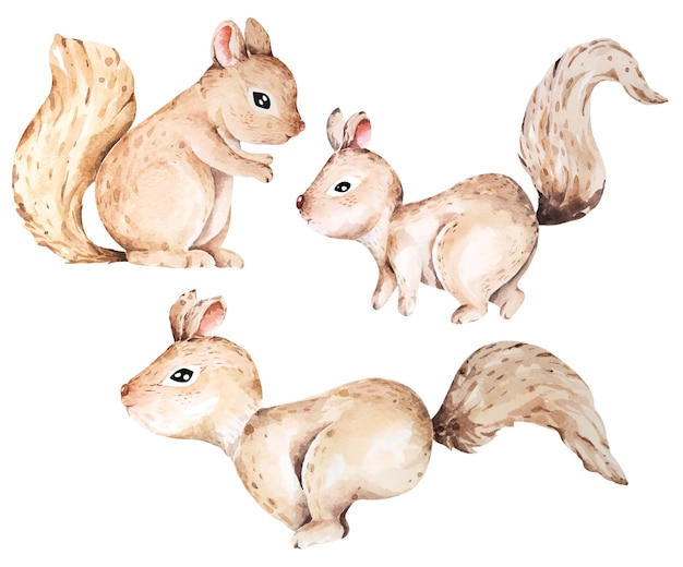 Aquarelle D'écureuilsdessin Animé Mignon Petit Animal Sauvagemammifèreécureuil à Fourrure Brune