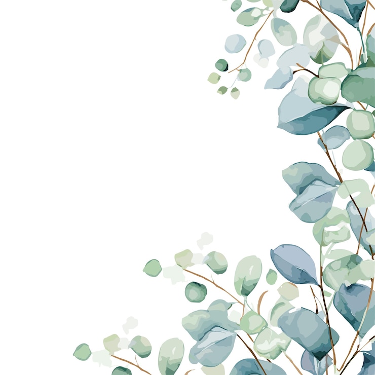 Vecteur aquarelle eucalyptus cadre de brunch