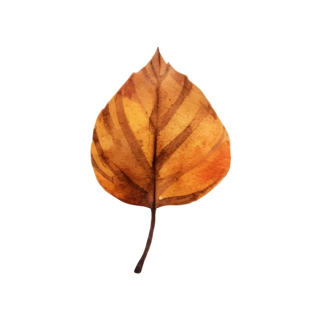 Aquarelle feuilles d'automne