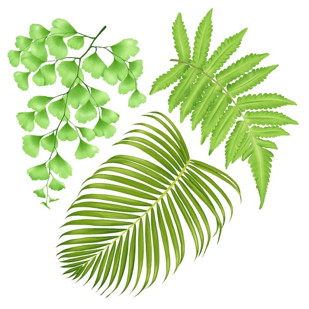 Vecteur aquarelle de feuilles vertes tropicales