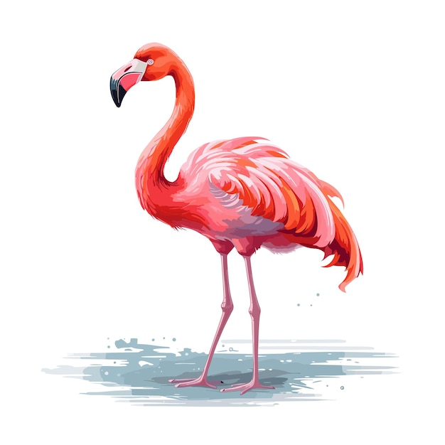 Aquarelle Flamingo Illustration Vectorielle D'oiseau Dessin Animé