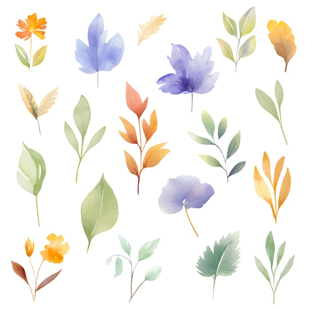 aquarelle fleur feuilles clipart