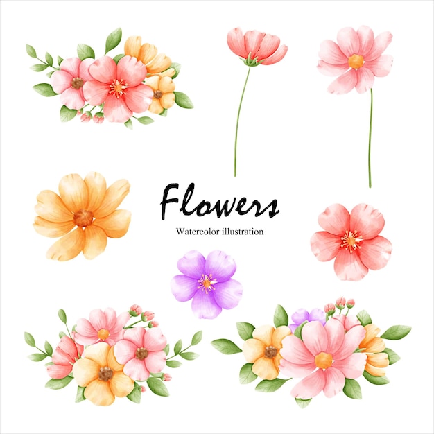 Aquarelle Fleur Printemps Vector Illustrationxa