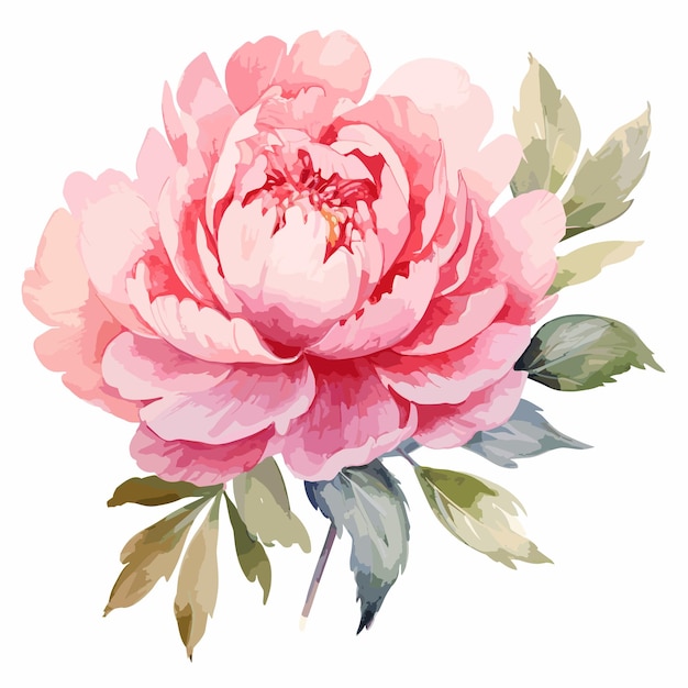 Aquarelle Fleur Rose Illustration Numérique Bouquet De Fleurs En Design Vintage