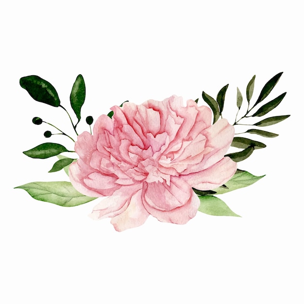 Aquarelle fleur rose pivoine