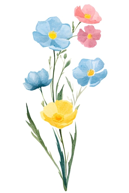 Aquarelle Fleurs Botanique Illustration Clipart