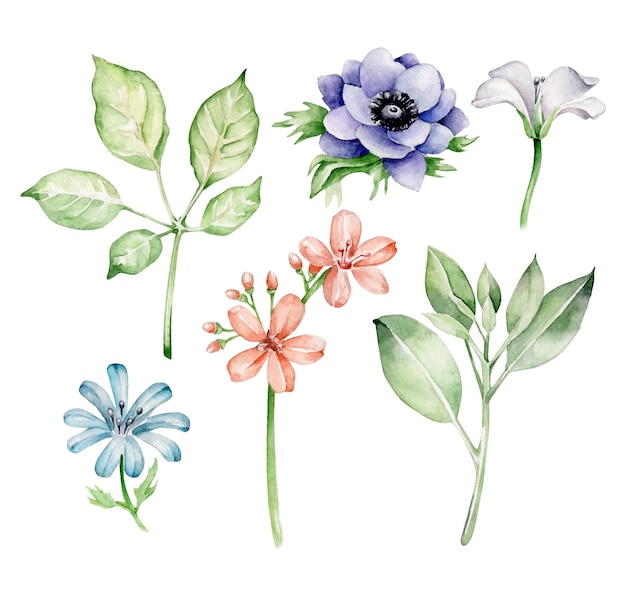 Aquarelle fleurs et feuilles