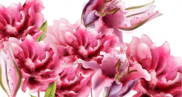 Aquarelle de fleurs de lis rose