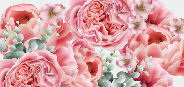 Aquarelle de fleurs de printemps pivoines