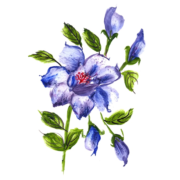 Vecteur aquarelle floral set