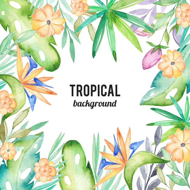 Aquarelle fond tropical