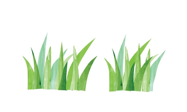 Vecteur aquarelle d'herbe verte simple. fond floral clipart dessiné à la main. dessin d'herbe de jardin de dessin animé