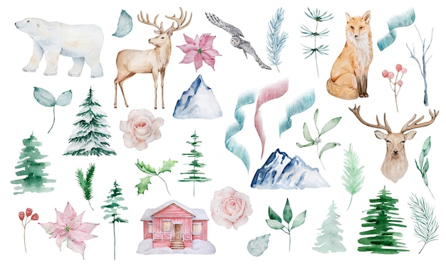 Aquarelle Hiver Ensemble D'illustrations Forêt Et Animaux Polaires Plantes Et Fleurs