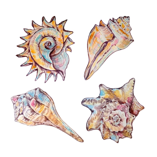 Vecteur aquarelle illustration colorée de la vie sous-marine pour la conception et l'impression