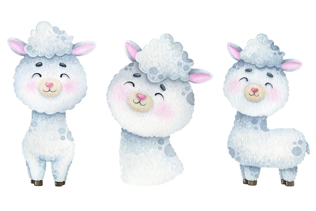 Aquarelle De Lamas Blancs Mignons