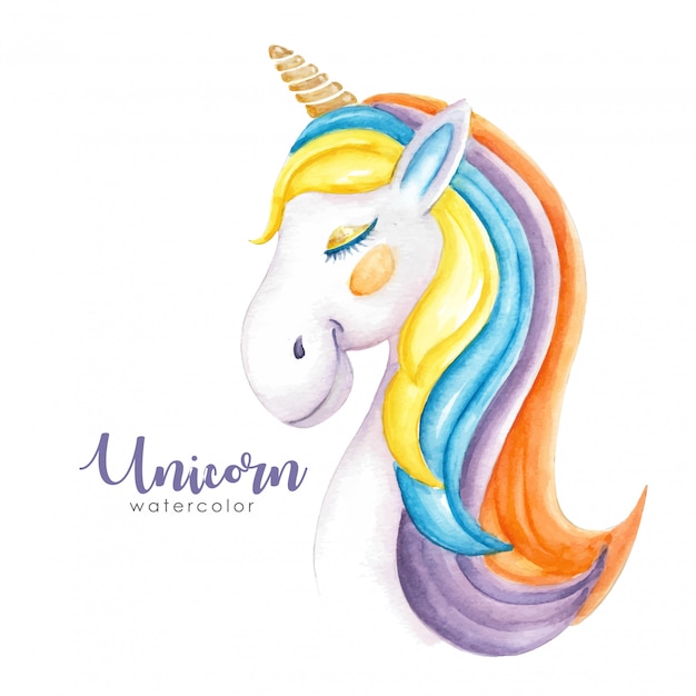 Aquarelle De Licorne Colorée Poilue Mignon