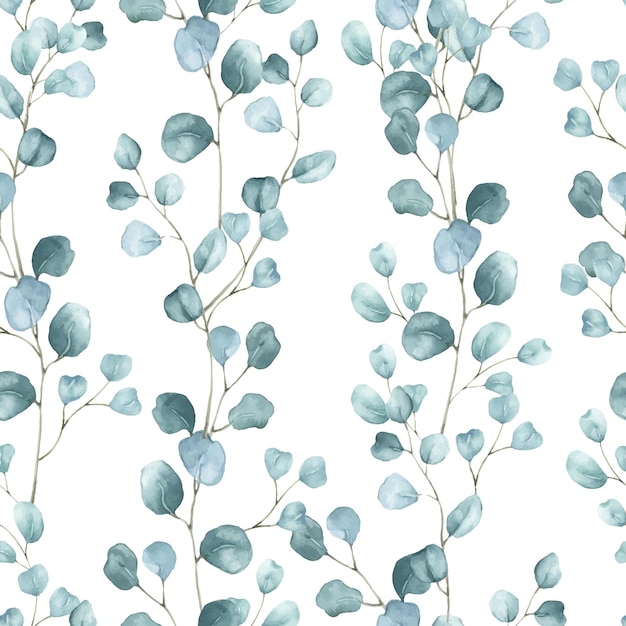 Aquarelle magnifique fond avec des branches d'eucalyptus