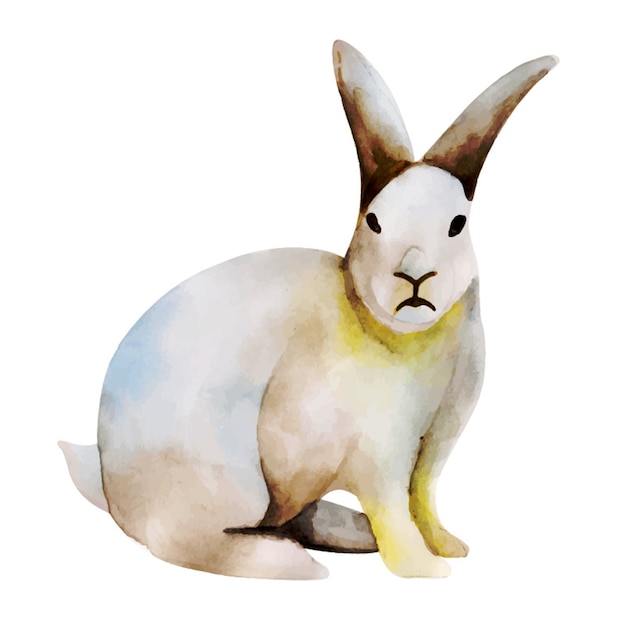 Aquarelle mignon lapin