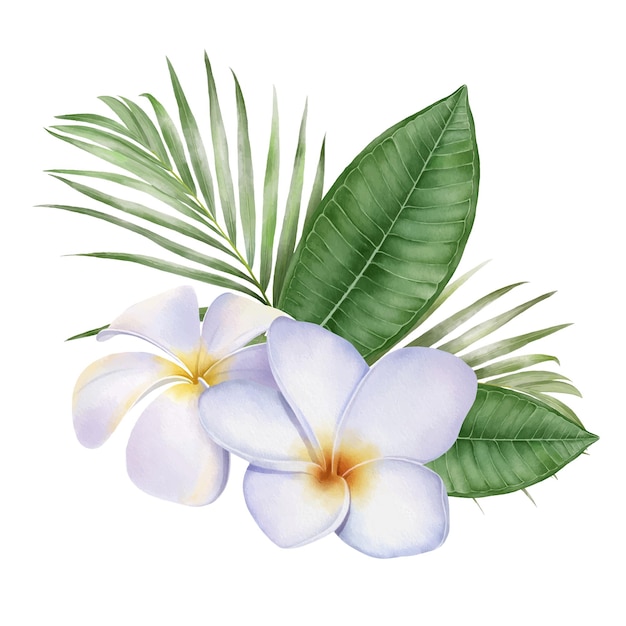 Vecteur aquarelle numérique avec des fleurs de frangipanier blanches tropicales et des feuilles de palmier
