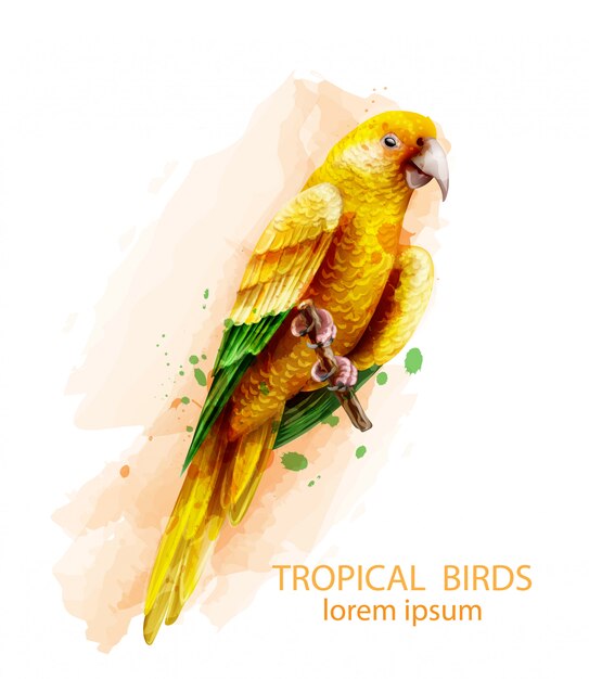 Aquarelle Oiseau Jaune Perroquet Tropical