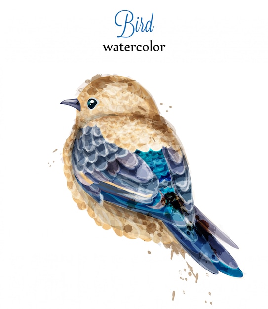 Vecteur aquarelle oiseau peint illustration de style