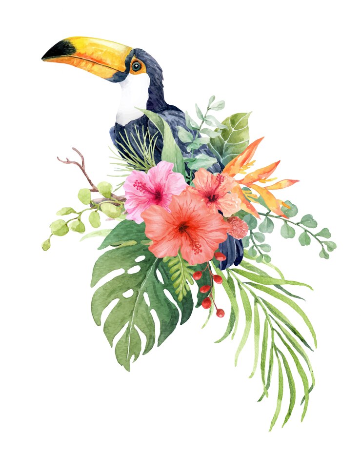 Vecteur aquarelle oiseau toucan sur la branche avec feuille tropicale