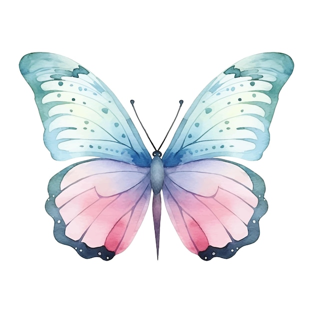 Aquarelle Papillon Exotique Illustration Vectorielle Avec Papillon Papillon Dessiné à La Main Image Clip Art