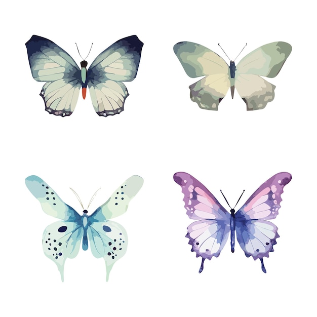 Aquarelle De Papillons Colorés Isolée Sur Fond Blanc