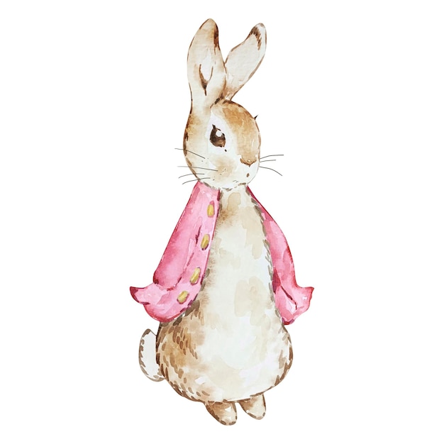 Vecteur aquarelle peter rabbit en veste rose